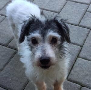 Meet your Posher, Ellen